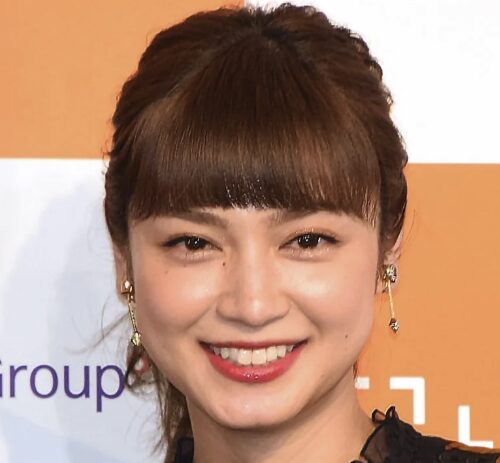 【完全版】平愛梨の実家が金持ちの噂は本当か？父の会社と家系図の真相！